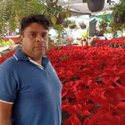 De la sierra poblana al puerto de Veracruz: Froylan Negrete  y su negocio de nochebuenas