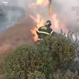 Se registra incendio de pastizal en camellón en la Gustavo A. Madero