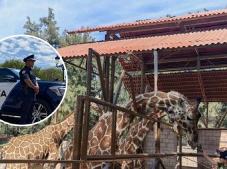 Tomará policía seguridad del Zoológico de León
