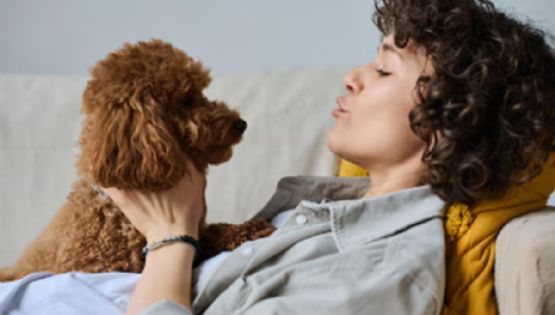 ¿Le hablas a tu perro como si entendiera todo? La psicología explica por qué lo hacemos