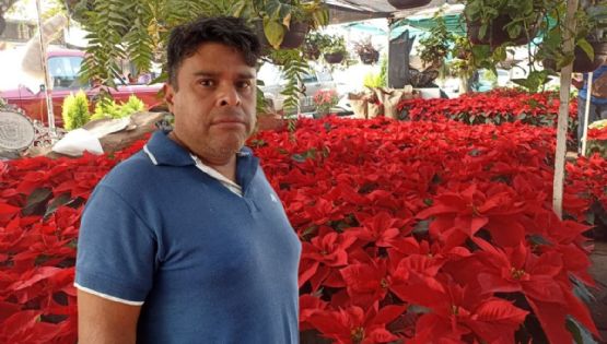 De la sierra poblana al puerto de Veracruz: Froylan Negrete  y su negocio de nochebuenas