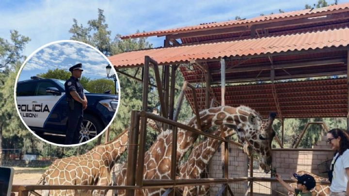 Tomará policía seguridad del Zoológico de León
