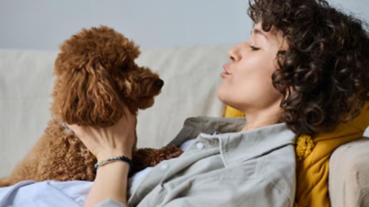 ¿Le hablas a tu perro como si entendiera todo? La psicología explica por qué lo hacemos