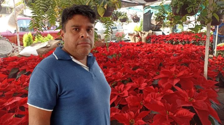 De la sierra poblana al puerto de Veracruz: Froylan Negrete  y su negocio de nochebuenas