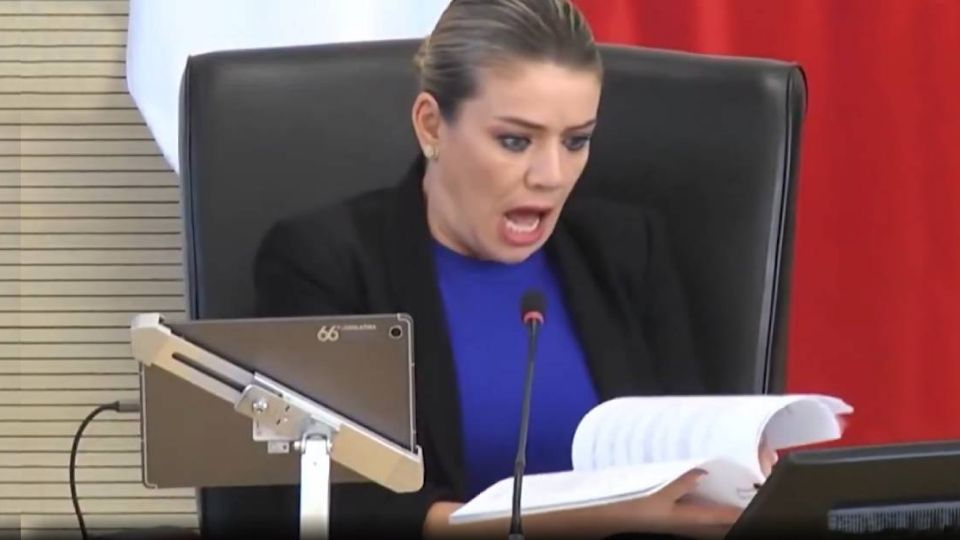 Se hizo viral la reacción de la diputada Noemí Márquez al ver la cantidad de hojas del dictamen sobre sobre matrimonio igualitario.