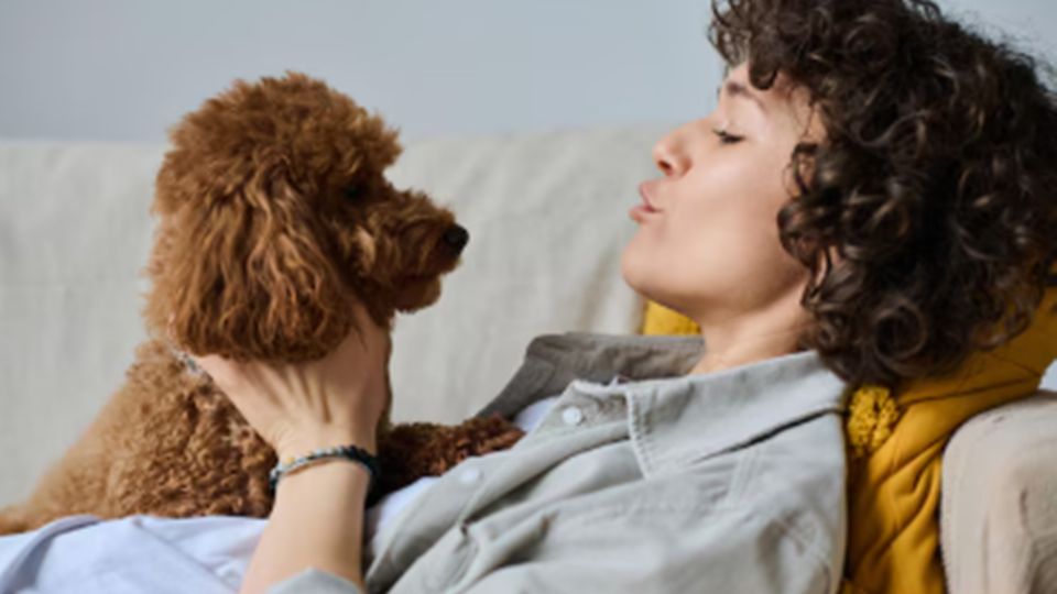 De espontaneidad y autenticidad