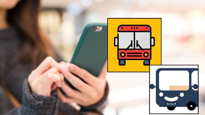 Ellos son los creadores de las aplicaciones Rutas Veracruz y Apolo Pasajeros para los camiones del puerto