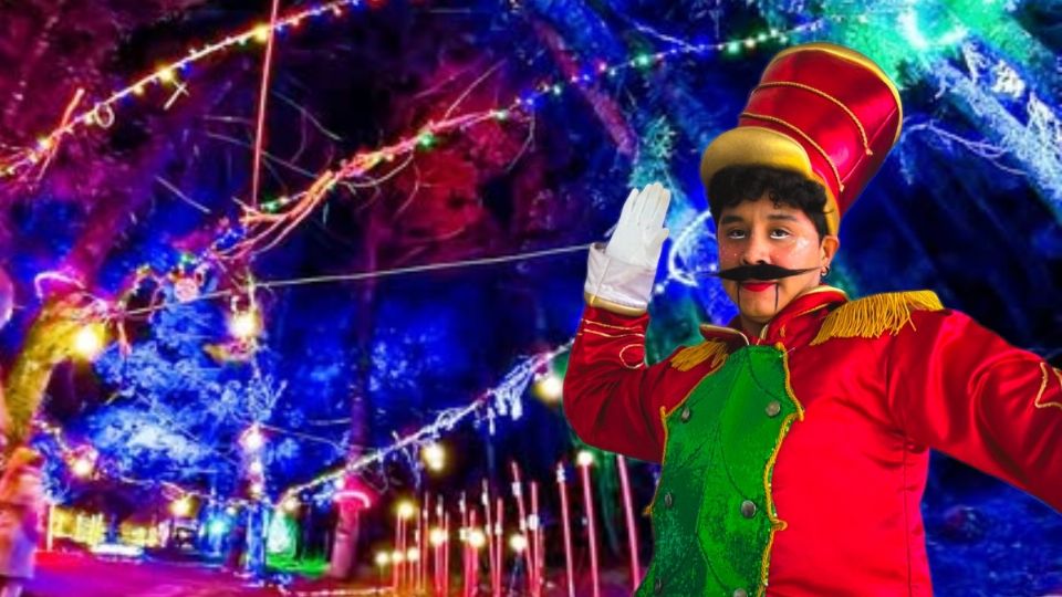 Recorridos súper divertidos con shows y un ambiente familiar en el Bosque Iluminado El Cerezo, umbo a Mineral del chico, Pueblo Mágico