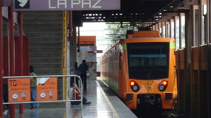 Metro CDMX: perro provoca retrasos en la Línea A