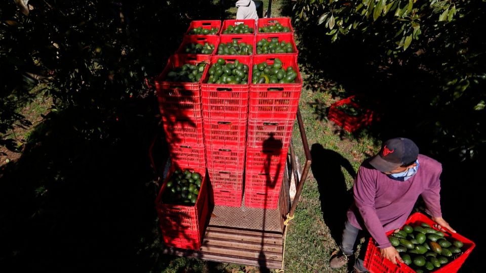 La incertidumbre crece en la industria tras la confirmación de nuevos aranceles que entrarán en vigor el 1 de febrero
