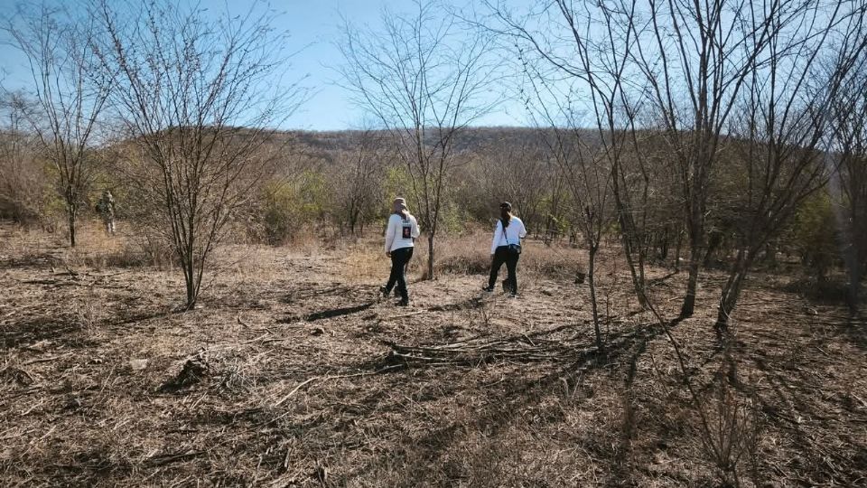 Los colectivos de búsqueda realizan operativos en terrenos baldíos de Sinaloa