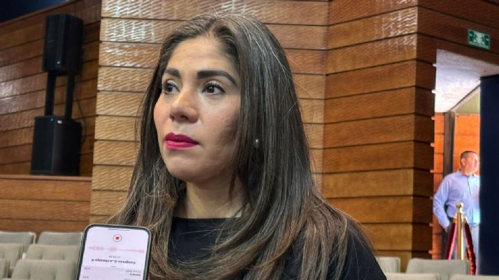 Retomará PRI iniciativa para pensionar a huérfanos por feminicidios: diputada