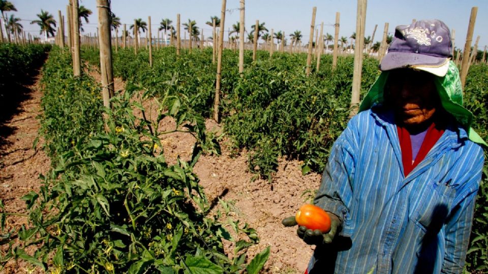 El crimen organiza la distribución del agua a través de amenazas a los canaleros, que son coaccionados para abrir compuertas