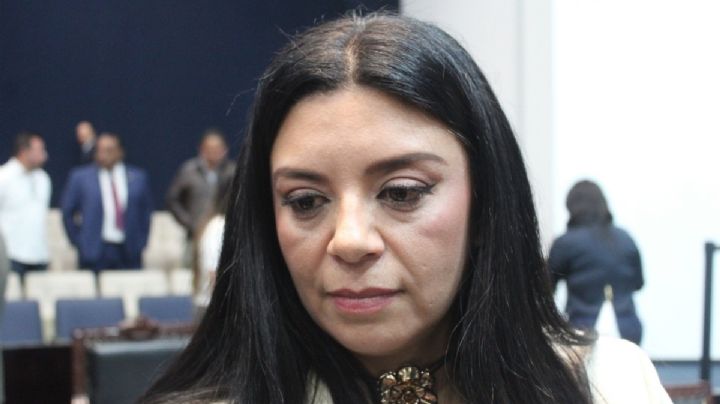 Infantes en orfandad por feminicidio, no hay datos por omisión del DIF: legisladora