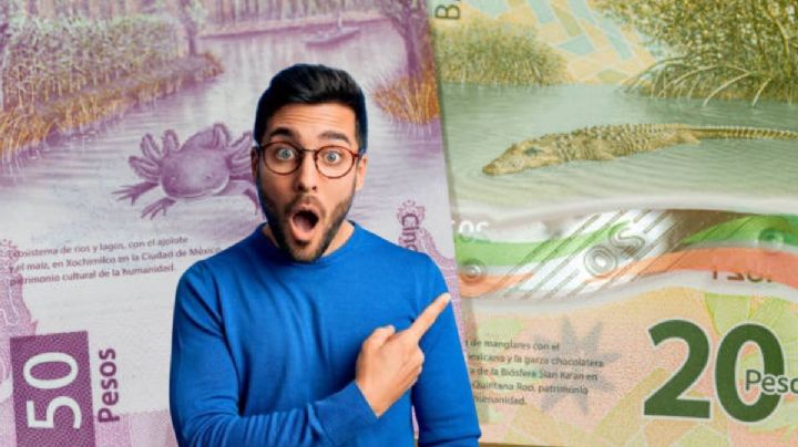 Este es el apoyo económico de 7,500 pesos que ya pueden cobrar en Hidalgo