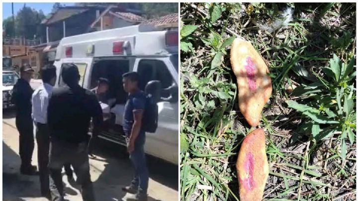 Caen funcionarios por muerte de niños en Chiapas tras comer pan envenenado para perros