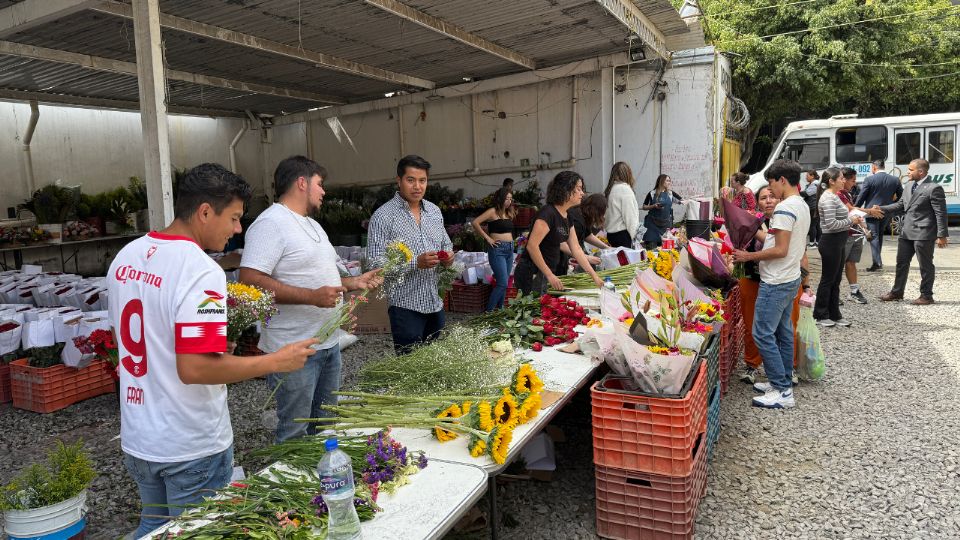 Florerías de la calle Justo Sierra