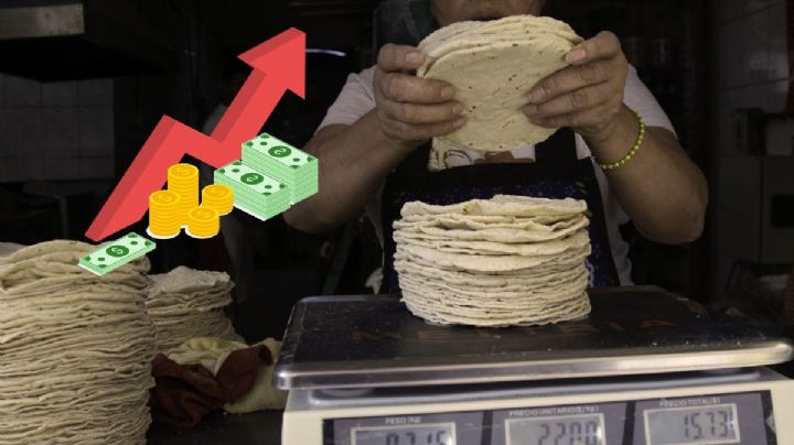 Sube el precio de la tortilla en Veracruz y este lugar la vende más barata, según Profeco