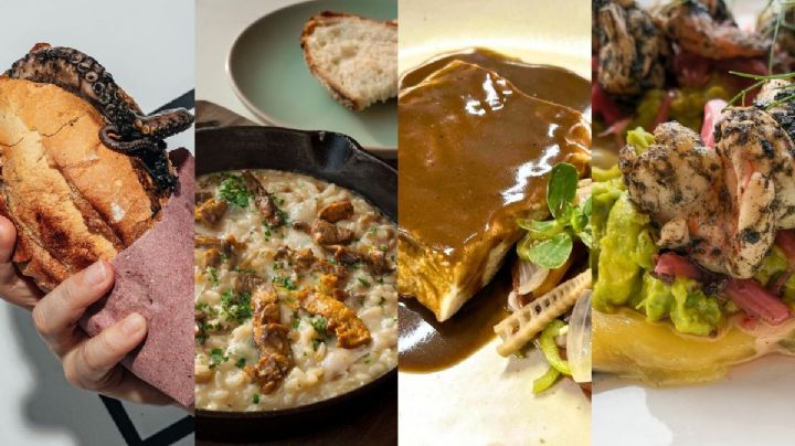 Los 4 restaurantes en Veracruz premiados como lo mejor de México 2025: dónde y qué comer