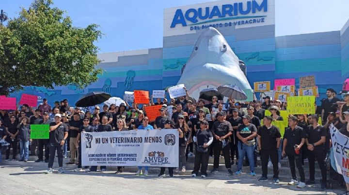Veterinarios protestan en Veracruz por Héctor Hernández, colega asesinado en Edomex