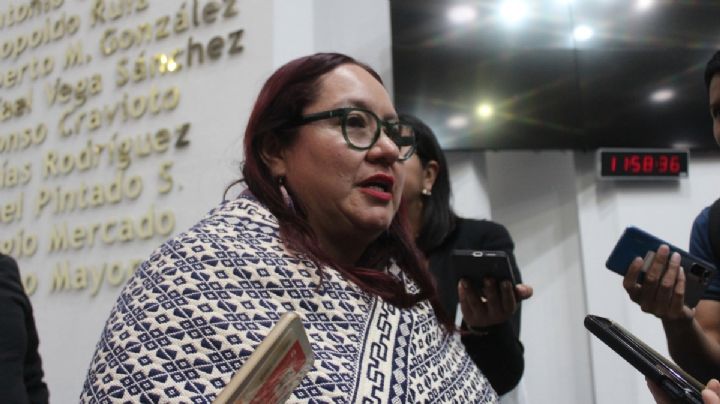 Sin dinero para organizar foros para periodistas: Tania Meza