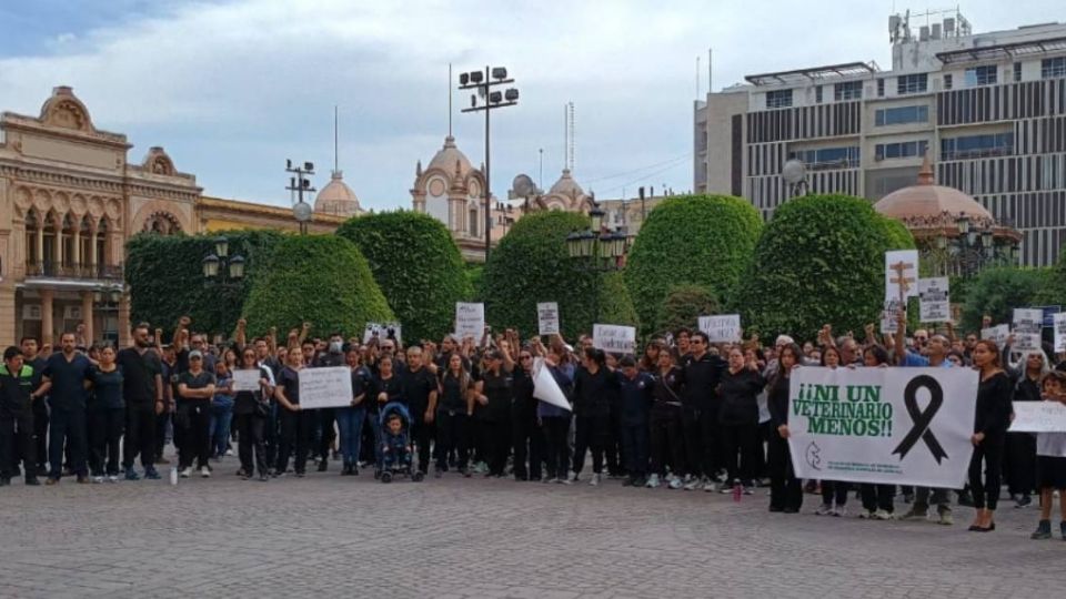 Veterinarios de León marcharon contra la violencia que se ha registrado contra ellos.