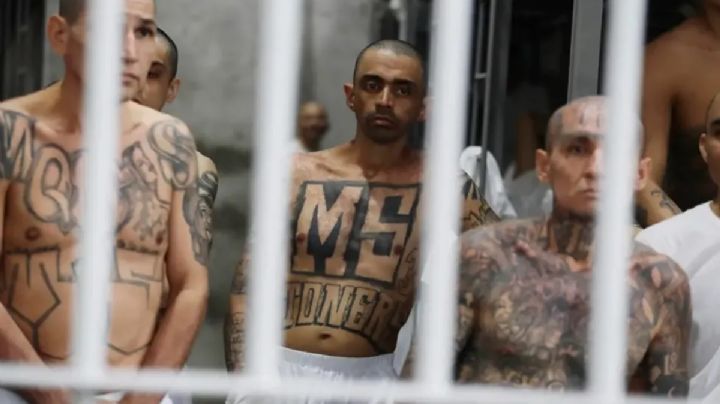 Tren de Aragua: siete países piden a la OEA su declaración como organización terrorista