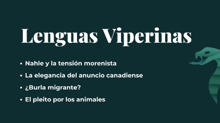 Lenguas Viperinas