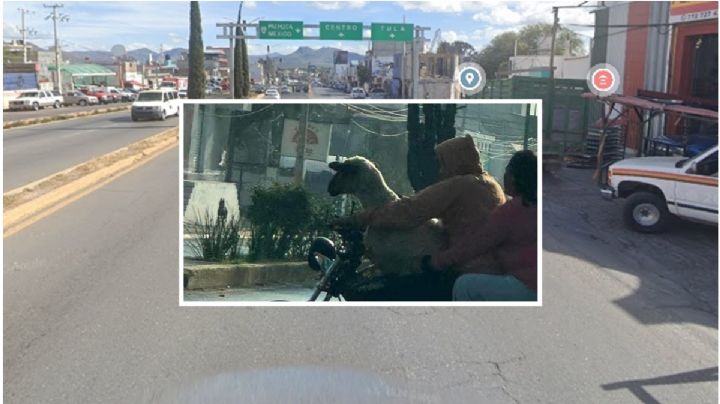 Solo en Hidalgo: transportan borrego en motocicleta; así pasó