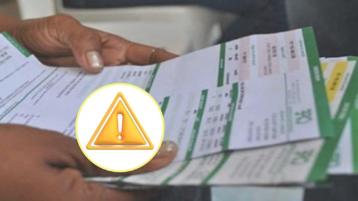 CFE: ¿Qué recibos de la luz llegarían con descuento en 2025? Esto sabemos