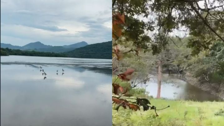 Habitantes de Actopan denuncian instalación de granja avícola en la Mancha