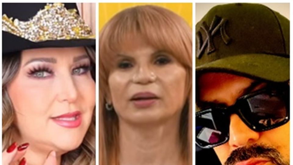 Para Alicia Villarreal, esto fue lo que dijo