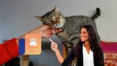 Foto ilustrativa de la nota titulada Así debe ser la CURP para mascotas en 2025; es obligatorio