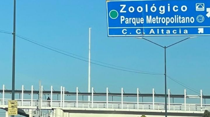 Día de la Bandera sin la mega bandera en León