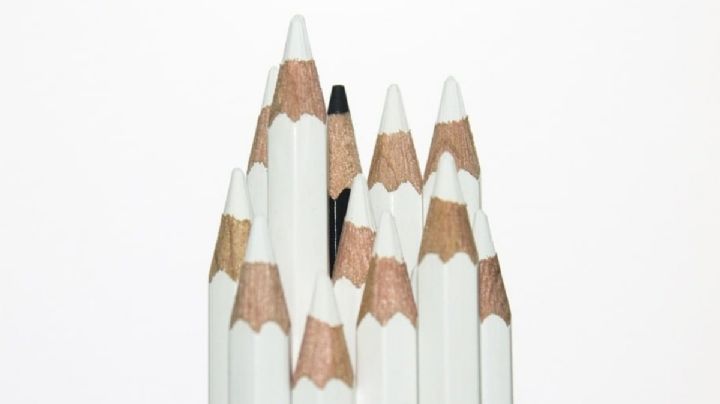 ¿Por qué el odio a las políticas de inclusión?