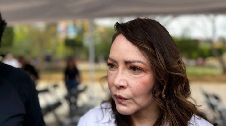 Tarjeta Violeta Guanajuato: ¿Quiénes podrán obtener este apoyo?