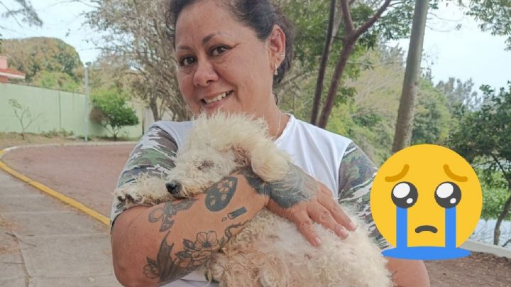 Bingo, perrito que volvió con su familia tras 2 años desaparecido en Veracruz