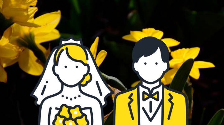¿Cuándo se regalan flores amarillas? Esta es la historia que debes conocer