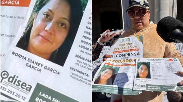 Hasta encontrarte, ¡Norma Dianey!, su madre lleva 7 años en su búsqueda