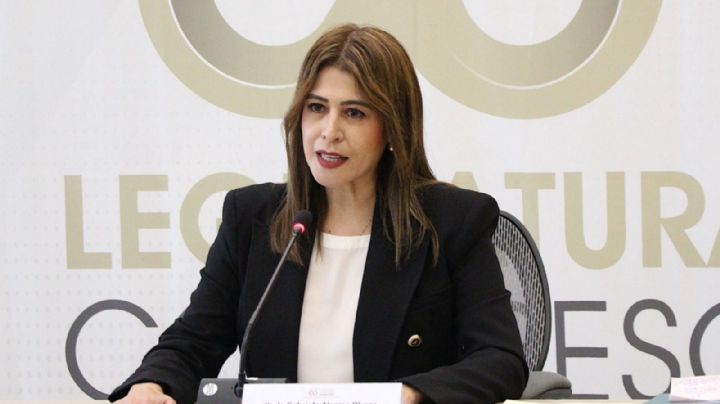 Con 26 votos, Karla Alcaraz es la nueva Procuradora de Derechos Humanos de Guanajuato