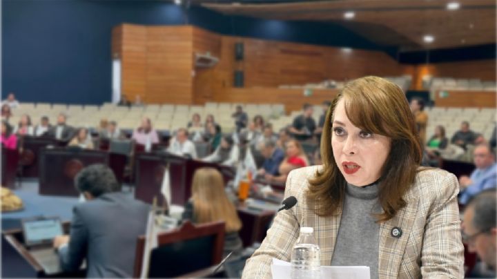 Congreso frena iniciativas del PAN para mejorar sistema de salud, acusa diputada