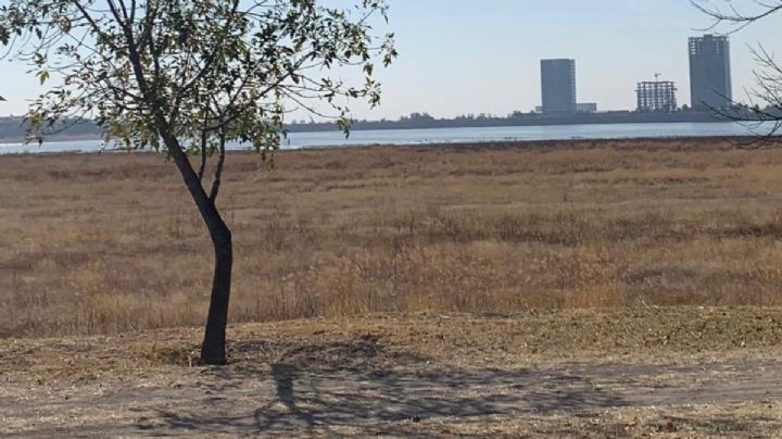 Presa de El Palote está al 13% y todavía no empieza el periodo fuerte de sequía