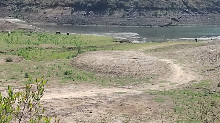 Así empieza la sequía en Guanajuato, la mayoría de lo municipios con alguna condición de sequedad