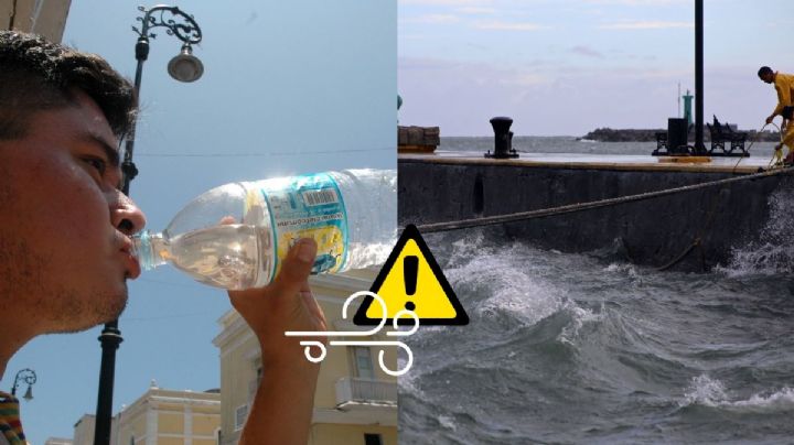 Activan Aviso Especial en Veracruz por surada y nuevo frente frío, ¿cuándo?