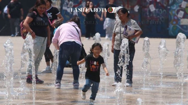 Calor 2025: especialista prevé que sea peor que el año pasado: UNAM