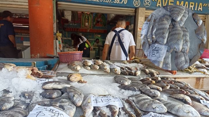 Esto costarán los mariscos en Veracruz Puerto durante la cuaresma