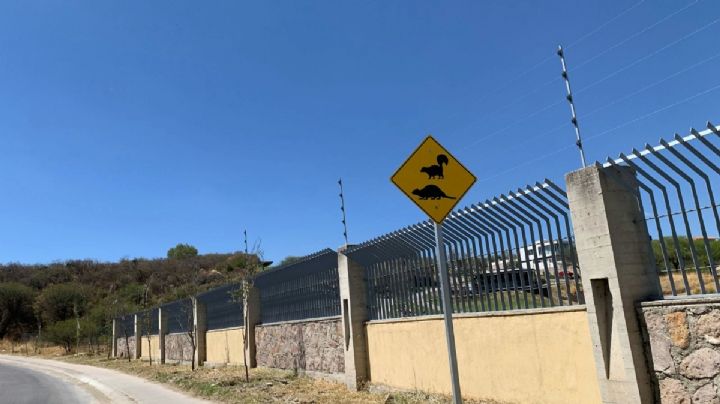 Con señaléticas de alerta se busca salvar la fauna silvestre en el norte de León