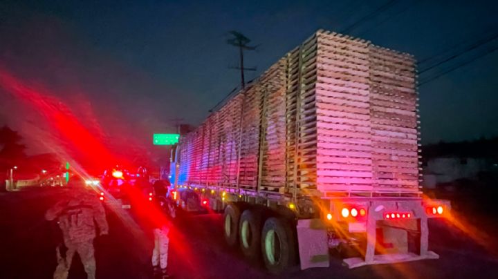 Profepa realiza megaoperativo contra la tala ilegal; incauta 135 toneladas de madera y 17 vehículos