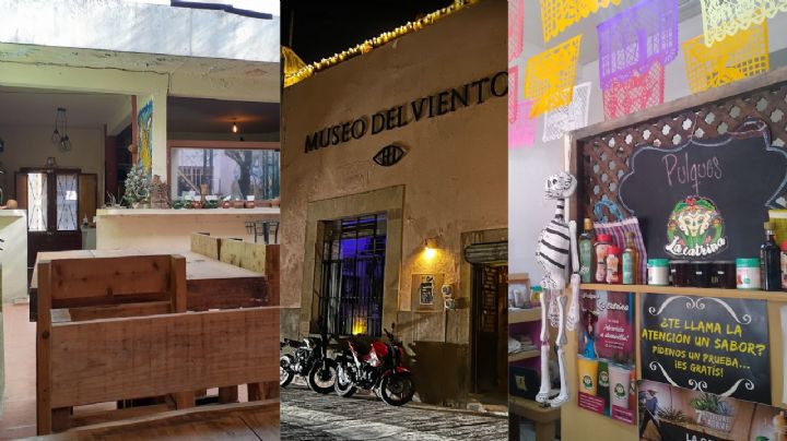 3 lugares para tomar pulque en el centro de León