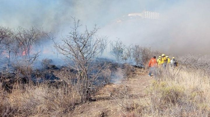 Así van el control de los incendios forestales en Chihuahua, Guanajuato y Oaxaca